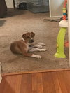Maggie