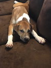 Maggie