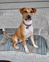 Maggie