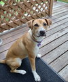 Maggie