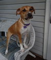 Maggie