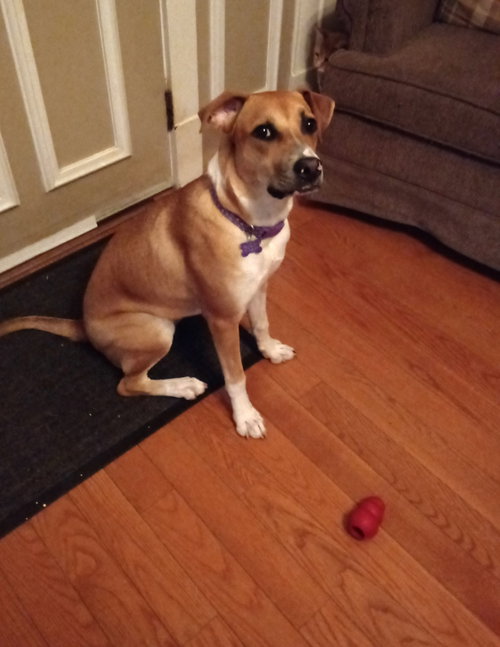 Maggie