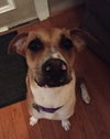Maggie