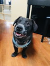 Ben