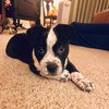 Charlie