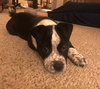 Charlie