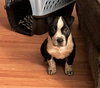 Charlie