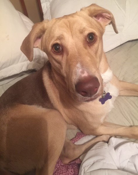 Max