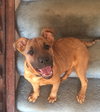 Waylon