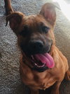 Waylon