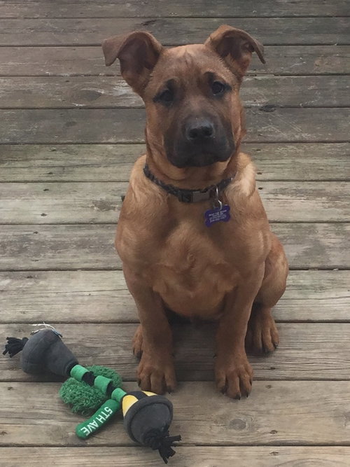 Waylon
