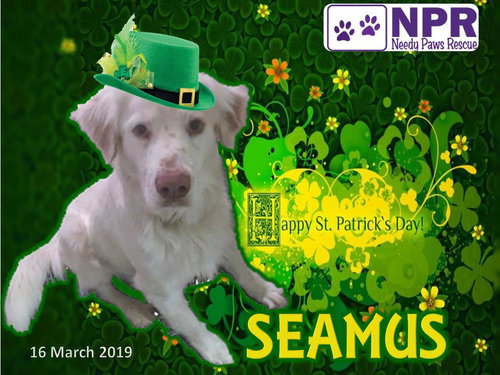Seamus