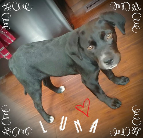 Luna