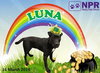 Luna Jean