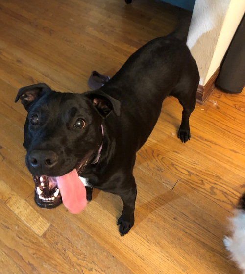 Luna Jean