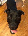 Luna Jean