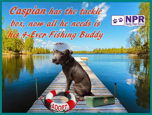 Caspian