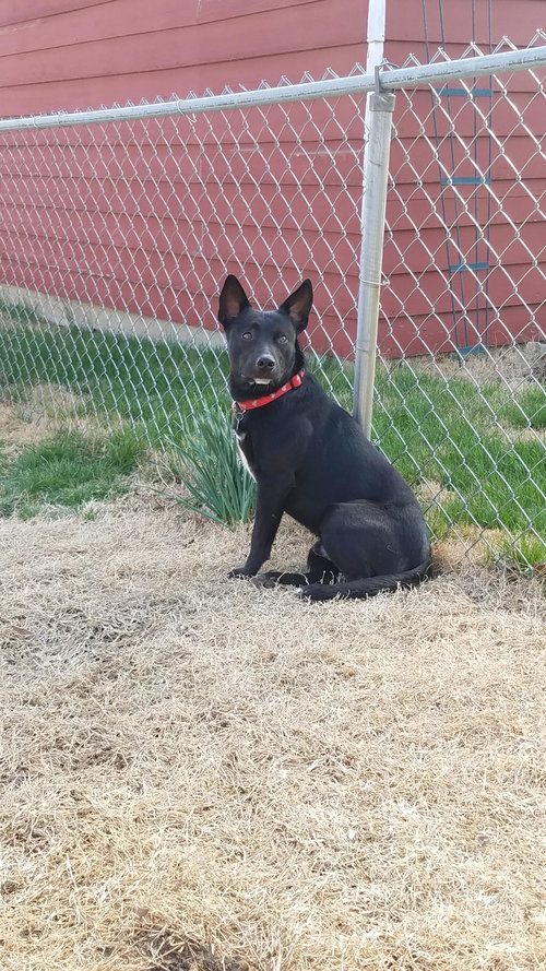 Porter