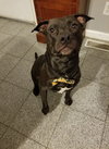 Oscar Meyer