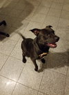 Oscar Meyer