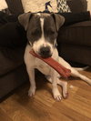 Odin