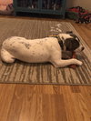 Odin