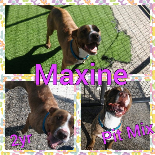 Maxine (Courtesy Post)