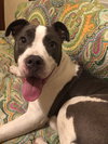Kona