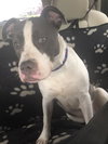 Kona