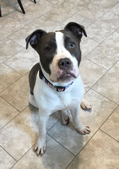 Kona
