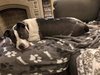 Kona