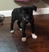 Delilah