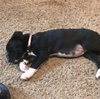 Delilah