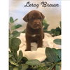 Leroy Brown