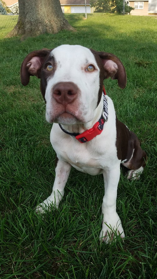 Nora
