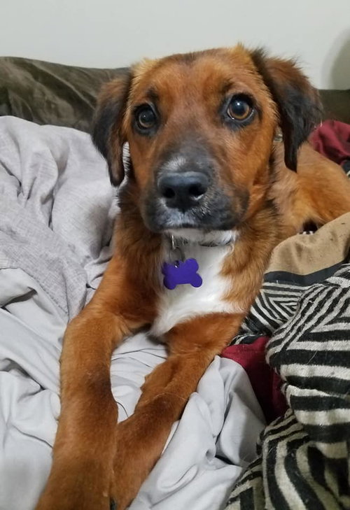 Flynn