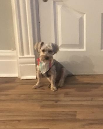 Milo