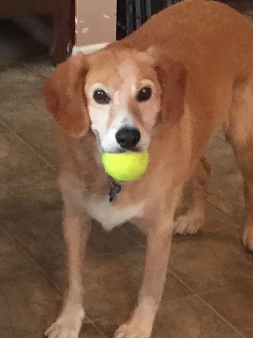 Charlie