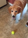 Charlie