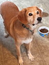 Charlie