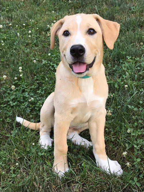 Chloe