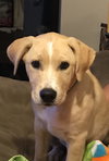 Chloe