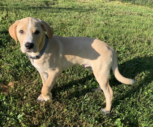 Duke
