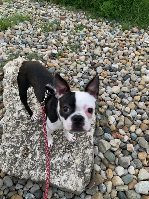 Oskar