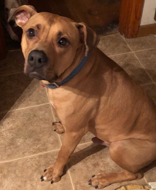 Mojo (Courtesy Post)