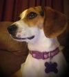 Millie