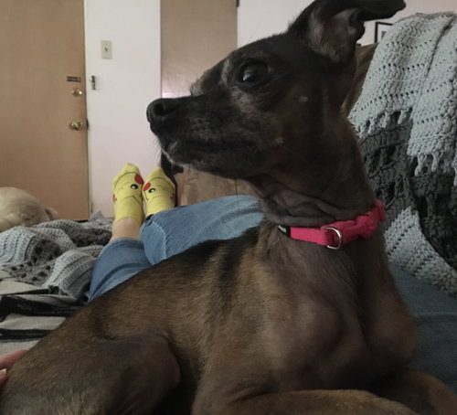 Sophie