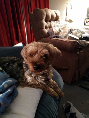 Lucy