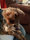 Lucy