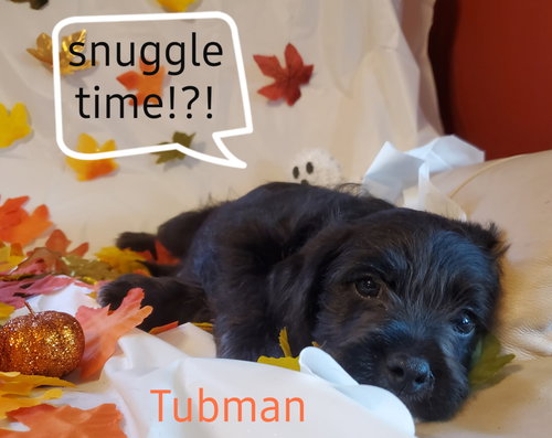 Tubman